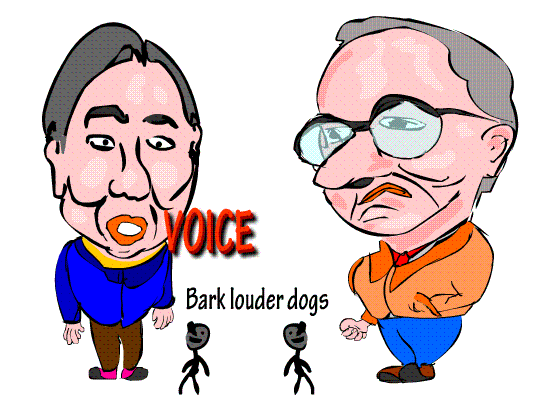 NO VOICE